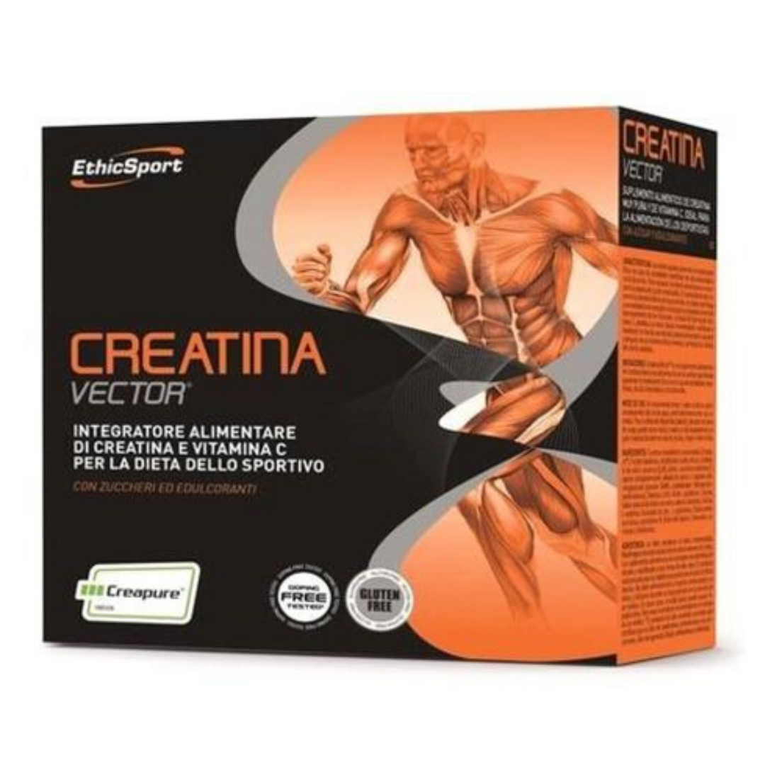 creatina-vector